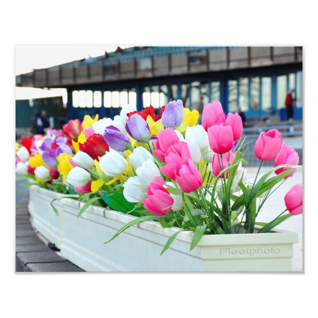 Vår Forward Fototryck (Framsidan)