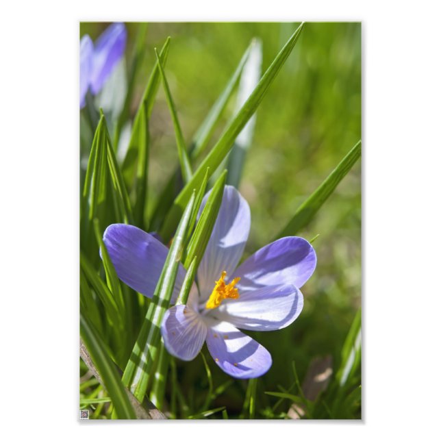 Vår Fototryck (Framsidan)