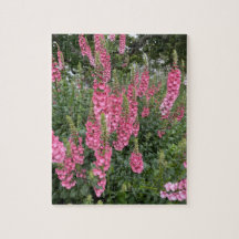 Vår Garden Flowers