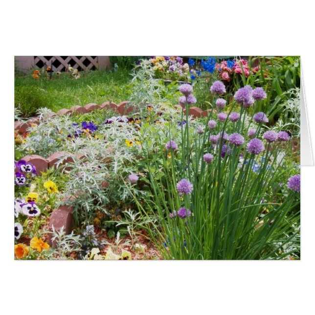 Vår Garden Hälsningskort (Framsidan Horizontal)