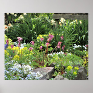Vår Garden Perennials Poster