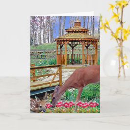 Vår Gazebo Hjort & Fawn Kort
