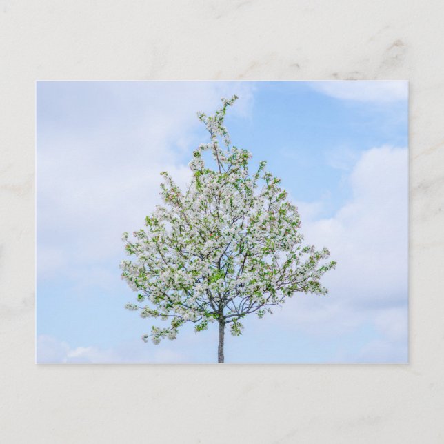 VÅR - GLAD PÅSK HELG VYKORT (Framsida)