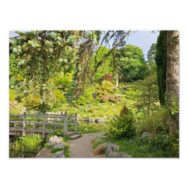 Vår God Fototryck (Framsidan)