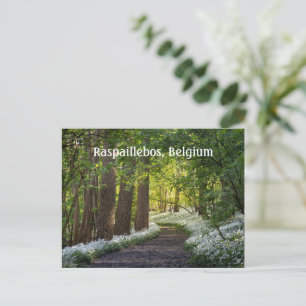 Vår God morgon i Raspaillebos, Belgien Vykort