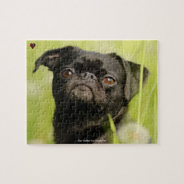 Vår Griffon Hund vår familjepet Pussel (Horisontell)
