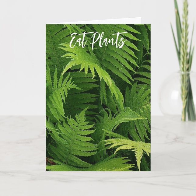 VÅR GRÖNT FERN PHOTO GREETING CARD KORT (Framsida)
