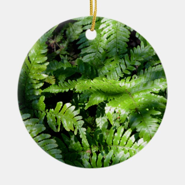 Vår Grönt Ferns boho botanical Julgransprydnad Keramik (Framsidan)