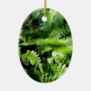 Vår Grönt Ferns boho botanical Julgransprydnad Keramik