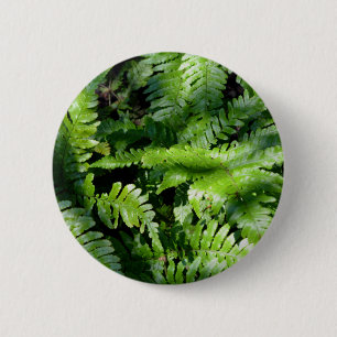 Vår Grönt Ferns boho botanical Knapp