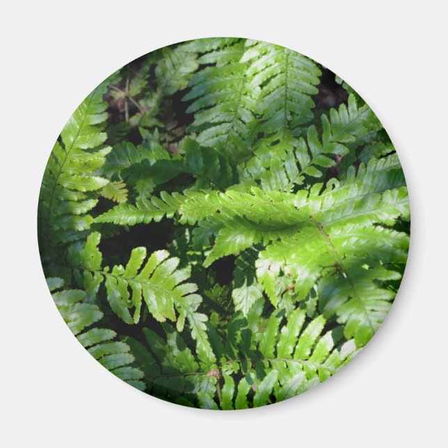 Vår Grönt Ferns boho botanical Magnet (Framsidan)