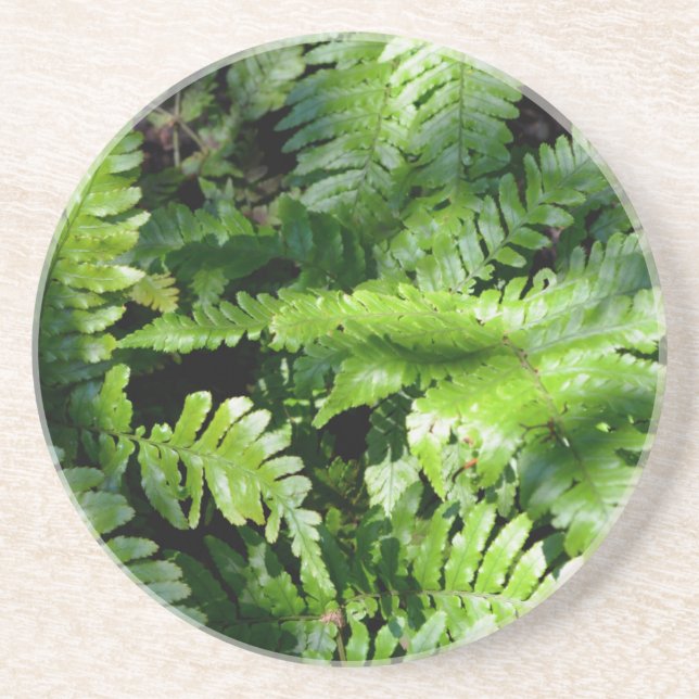 Vår Grönt Ferns boho botanical Underlägg (Framsidan)