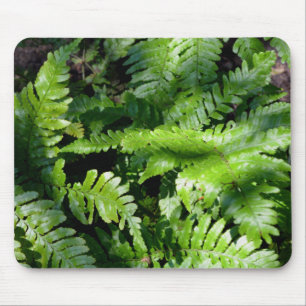 Vår Grönt Ferns Musmatta