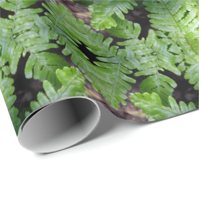 Vår Grönt Ferns Presentpapper (Rullad Hörn)