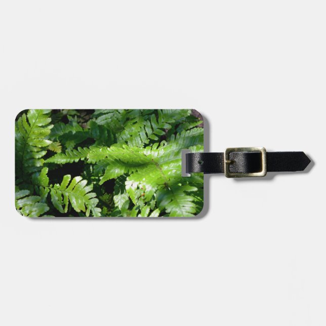 Vår Grönt Ferns tropiska botaniska grey Bagagebricka (Horisontell Framsida)