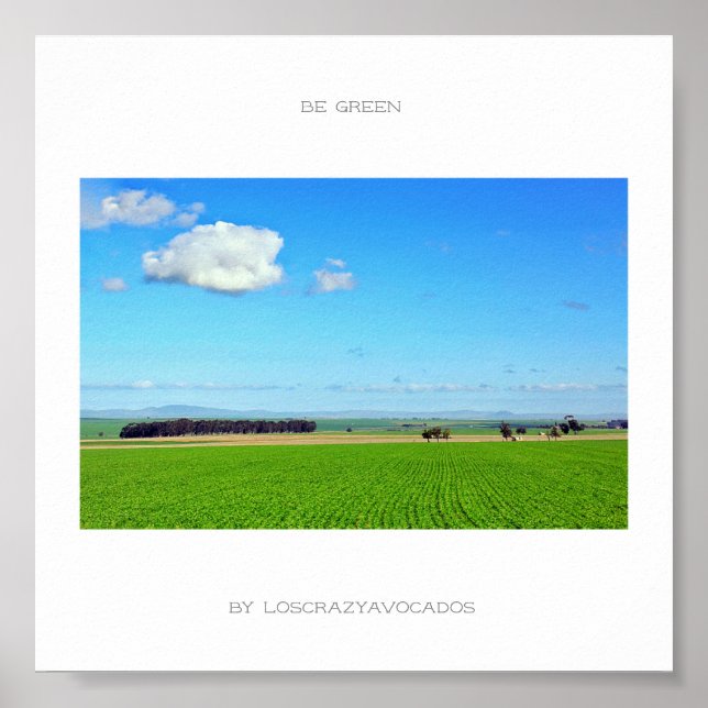 Var Grönt Vineyard Fält naturlandskap Poster (Framsidan)