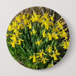 Vår Gult Daffodils Badge Knapp