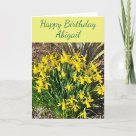 Vår Gult Daffodils Birthday Card Kort