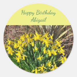 Vår Gult Daffodils Birthday Runt Klistermärke