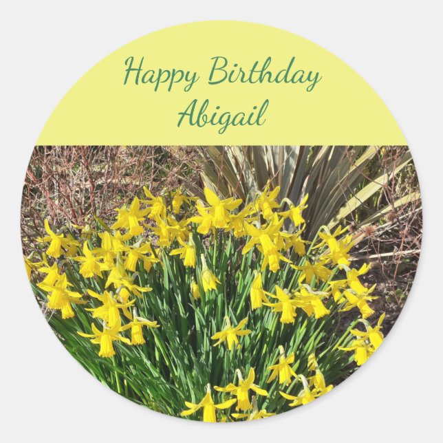 Vår Gult Daffodils Birthday Runt Klistermärke (Framsida)