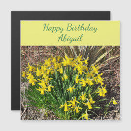 Vår Gult Daffodils Magnetic Birthday Card