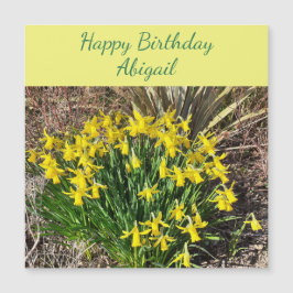 Vår Gult Daffodils Magnetic Birthday Card