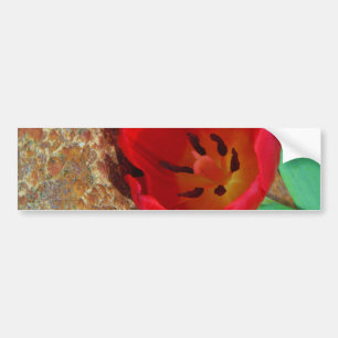 Vår gult och Red Tulip Bildekal