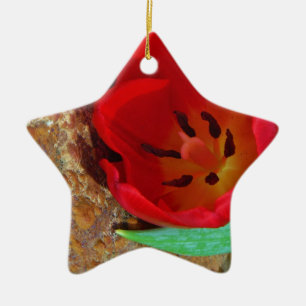 Vår gult och Red Tulip Julgransprydnad Keramik