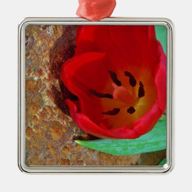 Vår gult och Red Tulip Julgransprydnad Metall (Framsidan)