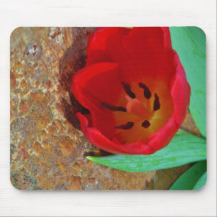 Vår gult och Red Tulip Musmatta