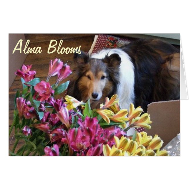 Vår Hälsningskort (Framsidan Horizontal)