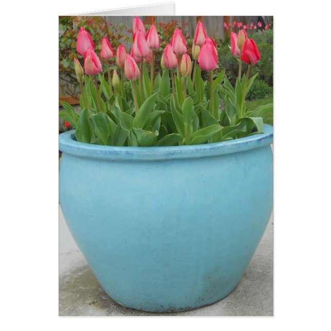 Vår Hälsningskort (Framsidan)