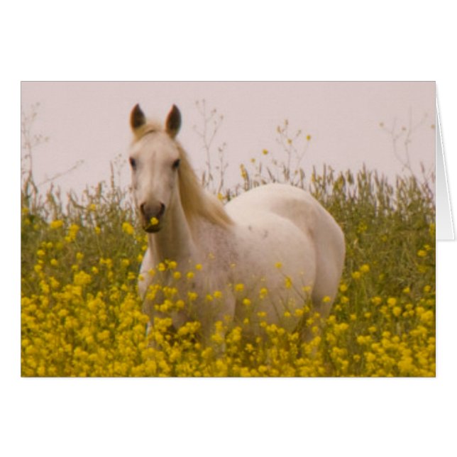 Vår Hälsningskort (Framsidan Horizontal)