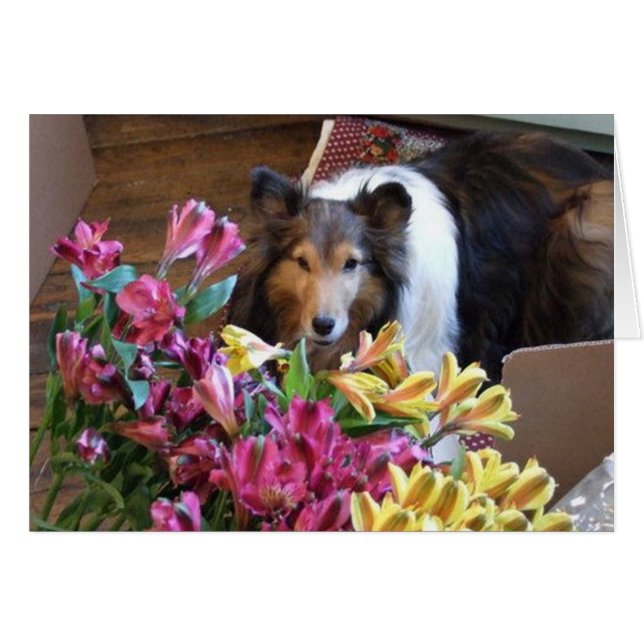 Vår Hälsningskort (Framsidan Horizontal)