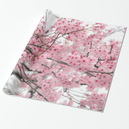 Vår Hanami Festival, Cherry Blommar Presentpapper