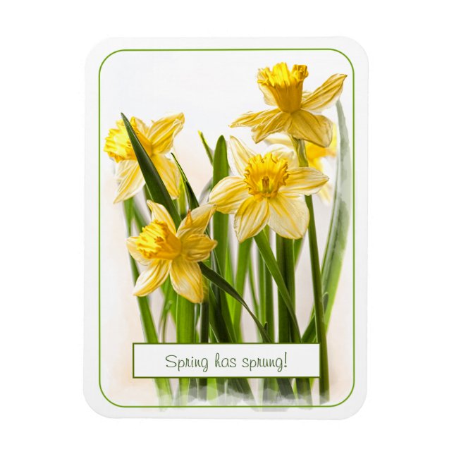 Vår har Sprung Gult Daffodils Close Photo Magnet (Vertikal)