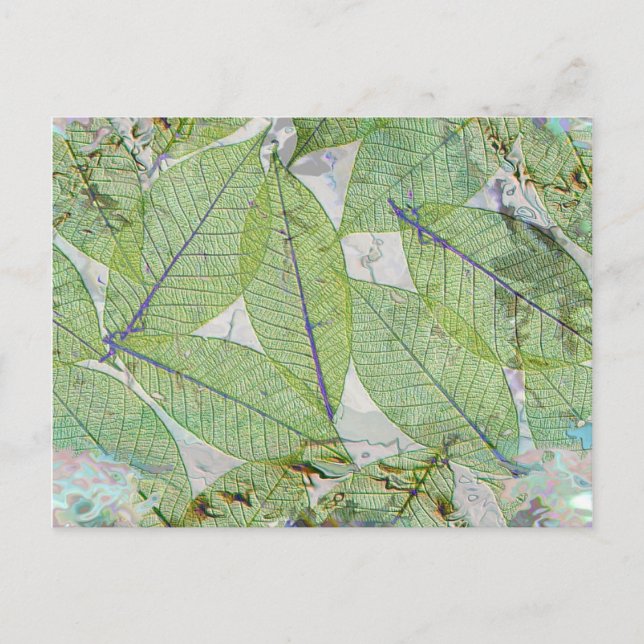 Vår har Sprung Vykort (Framsida)