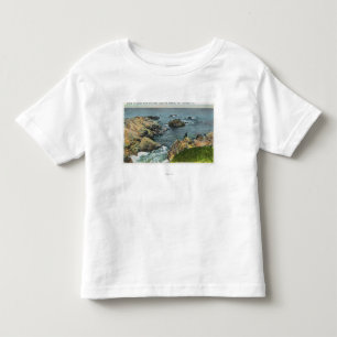 Var hav möter kusten tee