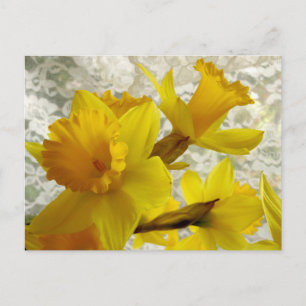 Vår Helgdag Daffodil vykort