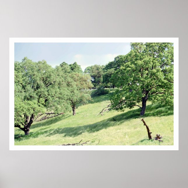 Vår Hillside, San Jose (poster) Poster (Framsidan)