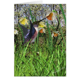 Vår Hummingbird-kort Hälsningskort