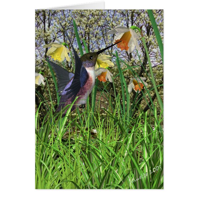 Vår Hummingbird-kort Hälsningskort (Framsidan)