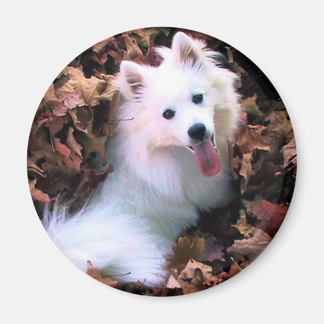 Vår Hund blundar jag för fotona! Magnet (Framsidan)