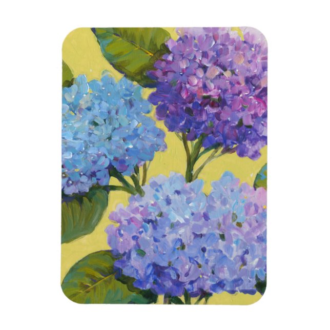 Vår Hydrangeas I Magnet (Vertikal)