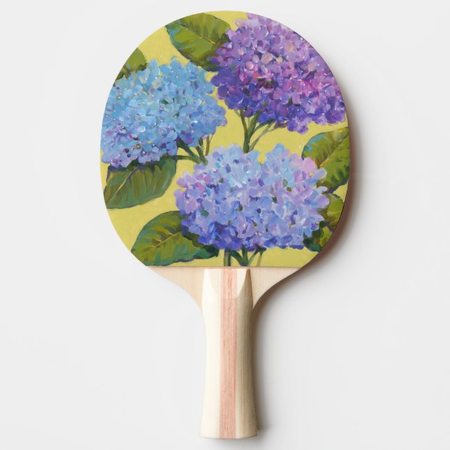 Vår Hydrangeas I Pingisracket (Framsidan)