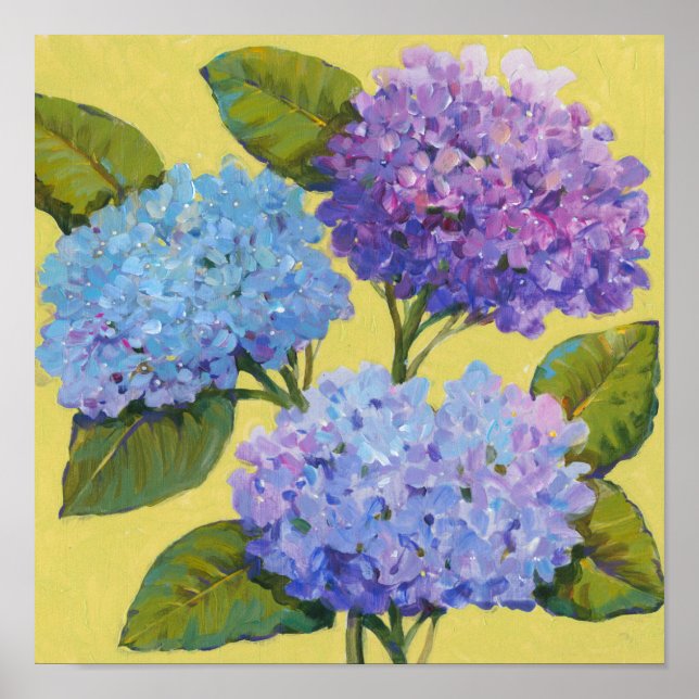 Vår Hydrangeas I Poster (Framsidan)