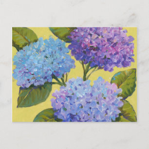 Vår Hydrangeas I Vykort