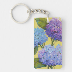 Vår Hydrangeus I