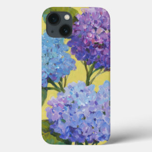 Vår Hydrangeus I
