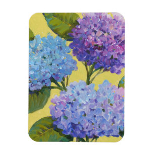 Vår Hydrangeus I Magnet